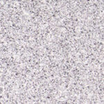 گرانیت سفید نطنز صیقلی